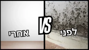 רטיבות קפילארית בקיר – השוואה בין קיר יבש לקיר עם עובש, קילופי צבע ונזקי לחות מהקרקע